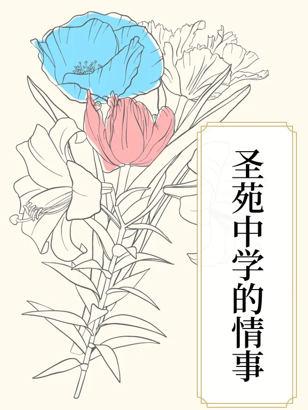 圣苑中学的情事