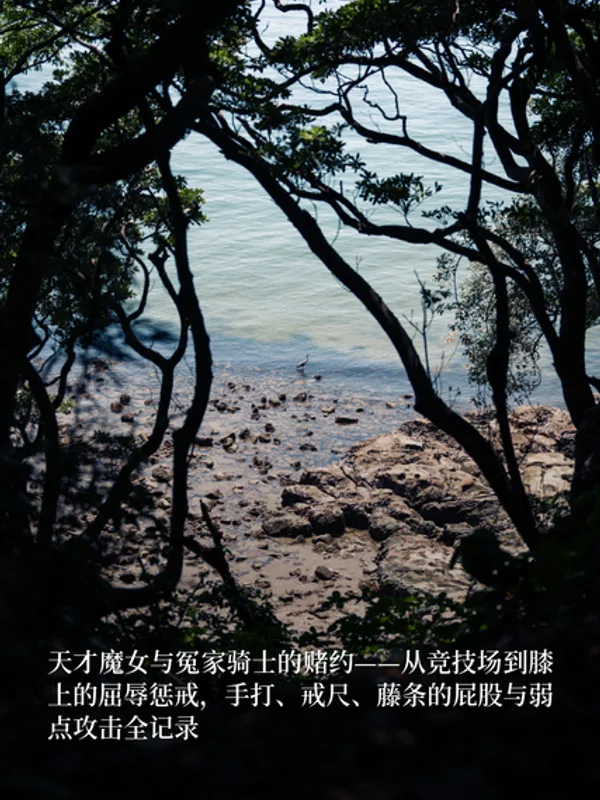 天才魔女与冤家骑士的赌约——从竞技场到膝上的屈辱惩戒，手打、戒尺、藤条的屁股与弱点攻击全记录